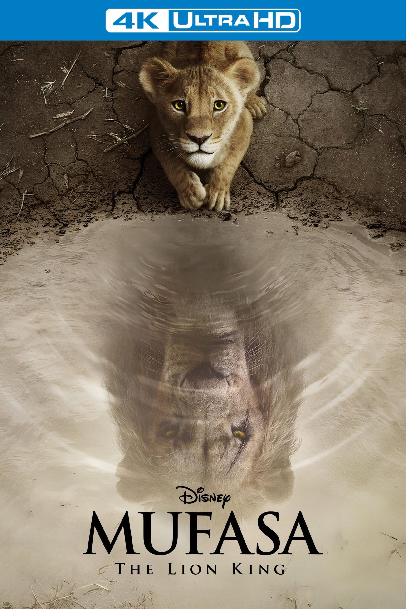 Mufasa The Lion King 2024 ORG Hindi Dubbed 4K 2160p | 1080p | 720p | 480p BluRay ESub Download